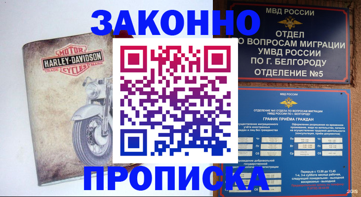 прописка для школы в Пскове